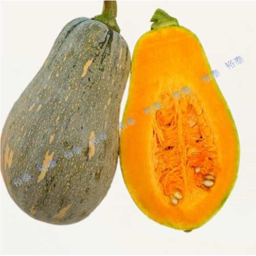 香芋南瓜